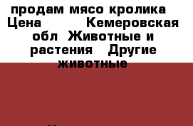 продам мясо кролика › Цена ­ 300 - Кемеровская обл. Животные и растения » Другие животные   . Кемеровская обл.